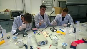 TU Darmstadt Biologie Lernlabor | Gerhart-Hauptmann-Schule ...